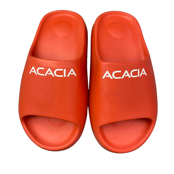 ACACIA PICKLEBALL APRÈS SLIDES FIRE TOP VIEW