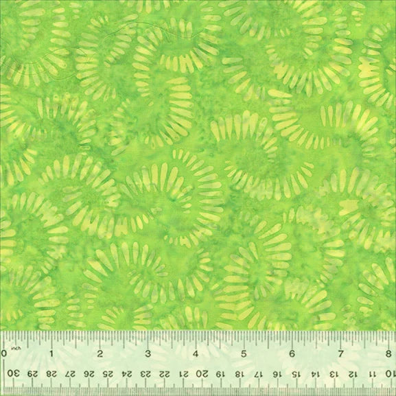 BATIK-Citrus Slices (Lime)