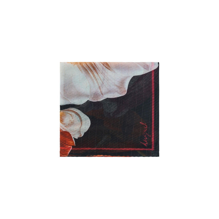 Desigual  Women Scarve
