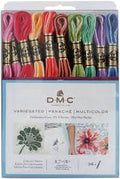 DMC Variegated Embroidery Floss Pack