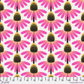 Echinacea - True || Love Always, AM