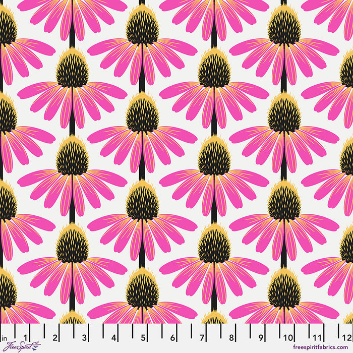 Echinacea - True || Love Always, AM