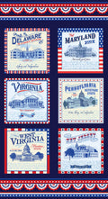 Mid-Atlantic Panel (Navy)