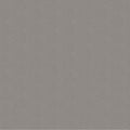 Neutrality-COOL GRAY Patrick Lose