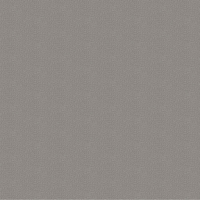Neutrality-COOL GRAY Patrick Lose