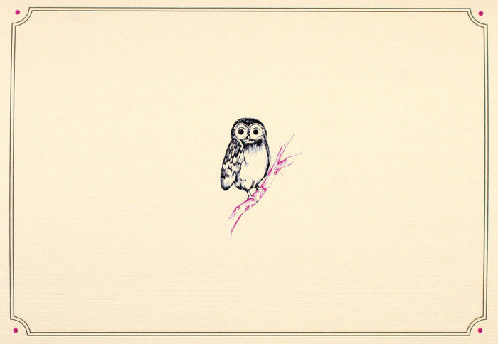 Owl Portrait Note Cards