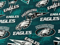 Philadelphia Eagles Retro Penants
