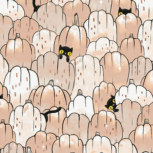 Puss Patch (White Pumpkin)