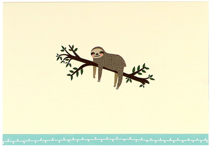 Sloth Note Cards