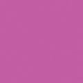 Superior Solids-Raspberry